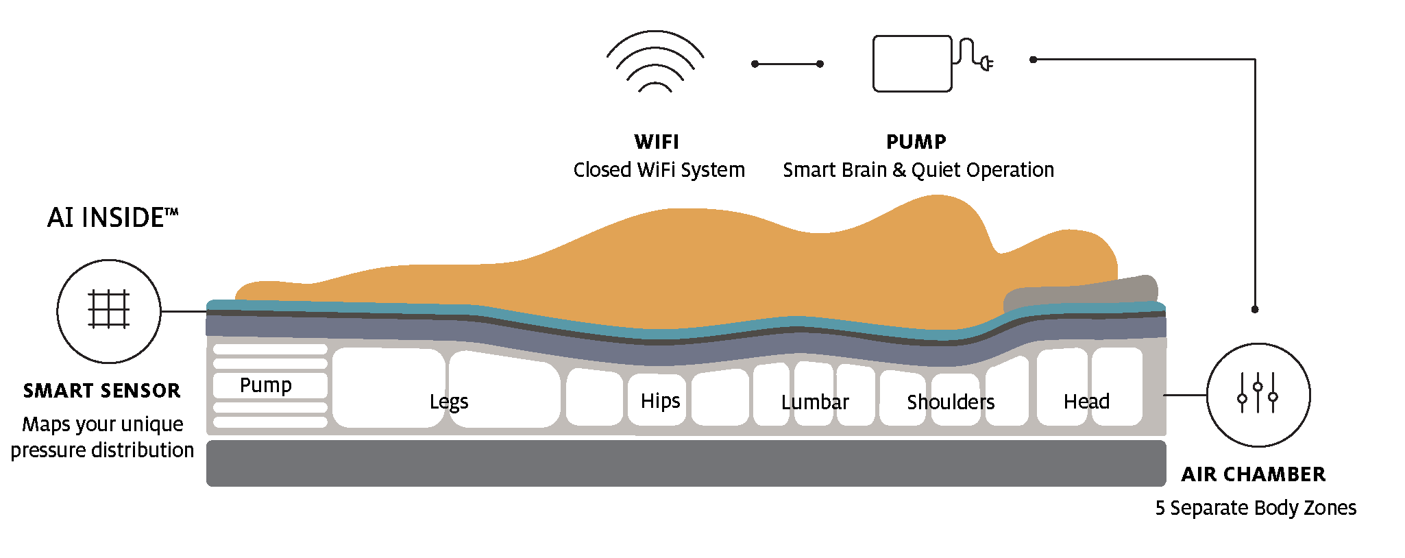 BodiTrak2 Smart Sleep Diagram with Bladder